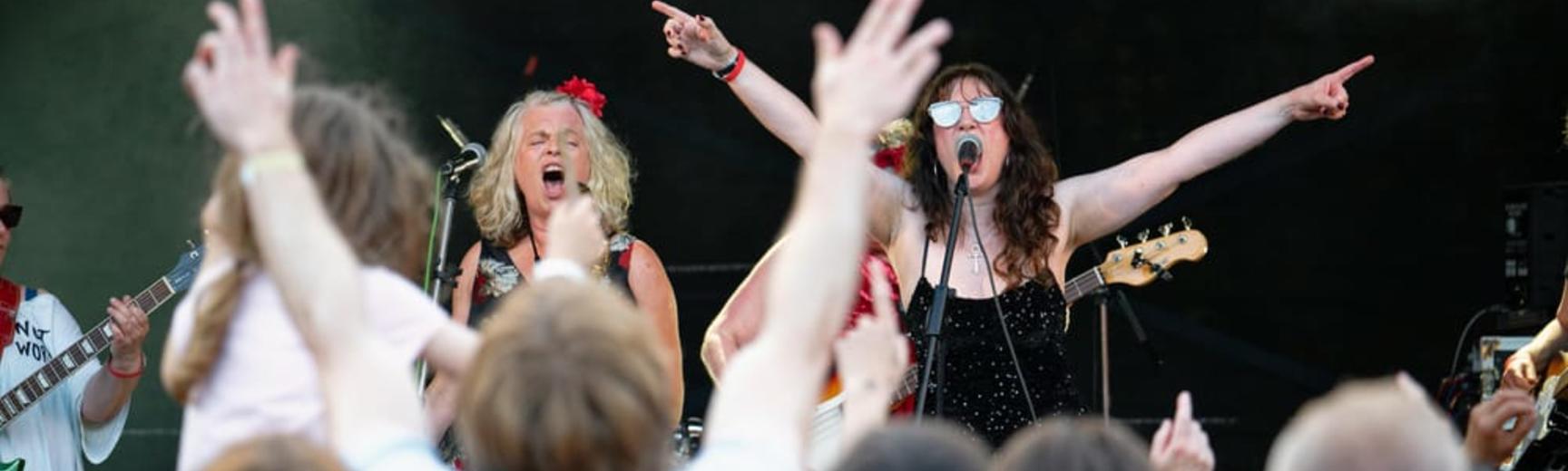 The Hormones perform on stage