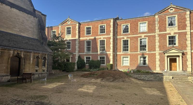 Quad after cherry tree removal