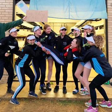 torpids roses