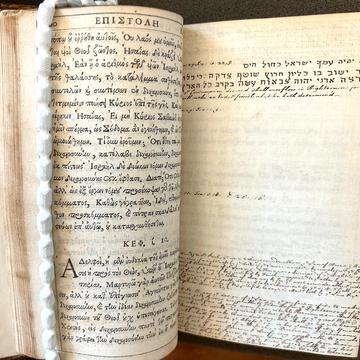 X163216 detail An open double page with Greek on one side and annotations in script on the other