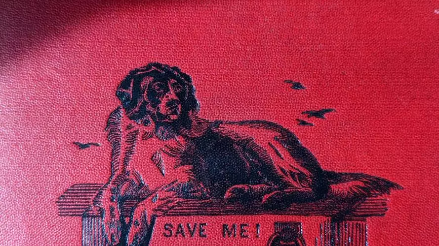 Picture of a hardback cover with an illustration of a dog sitting on a plinth engraved with Save me! I would save you