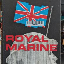 A shot of a cover of a book with a silhouette of a soldier in a tin hat with the union flag flying above their head