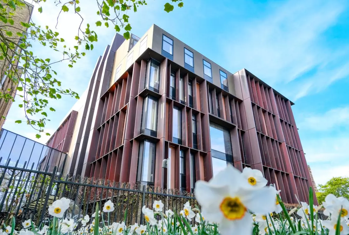 Modern building with flowers in foreground