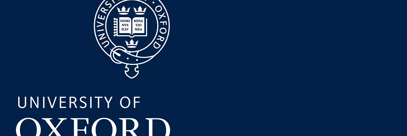 it banner