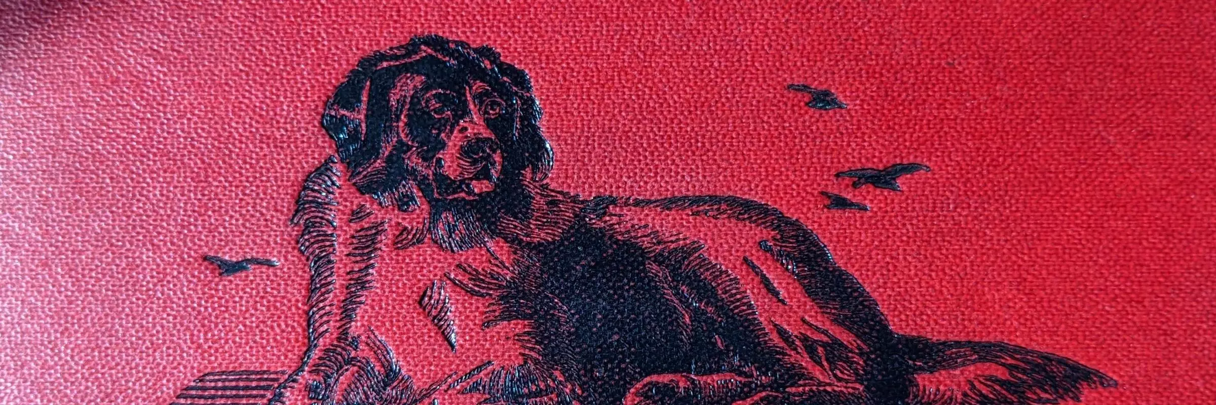 Picture of a hardback cover with an illustration of a dog sitting on a plinth engraved with Save me! I would save you